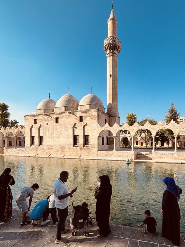 A mosque and sacred fish pool in southeastern Turkey